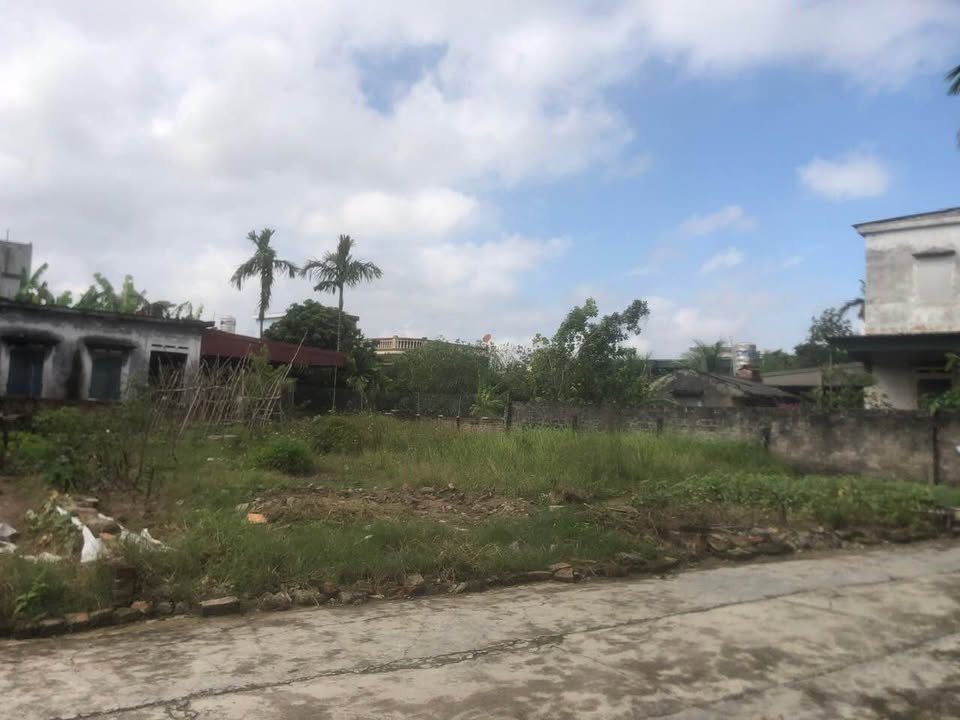 Đất Đại Sơn Tứ Kỳ 84m² giá 1.1 tỷ - Đường ô tô vào tận đất!