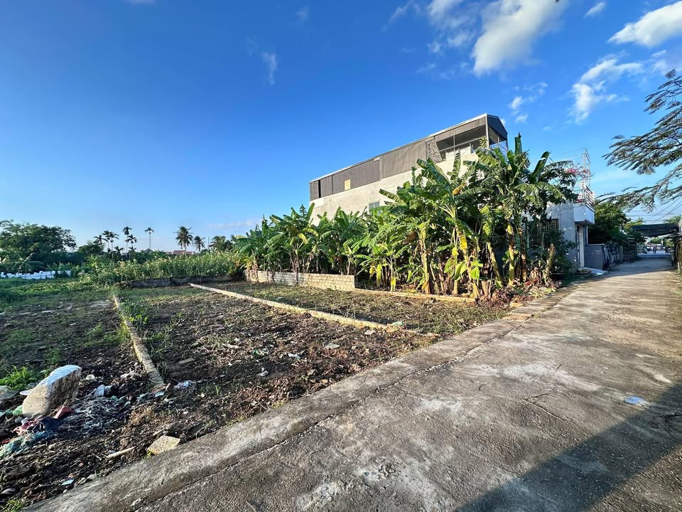 Đất nền An Thắng, An Lão 100m² giá 1 tỷ - Đầu tư sinh lời ngay!