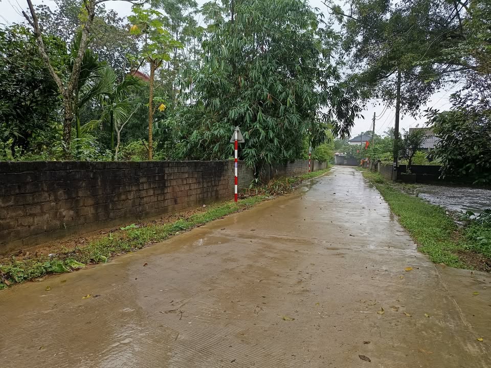 Đất thổ cư 500m² tại Cao Dương, Lương Sơn chỉ 3 tỷ - Cơ hội đầu tư hấp dẫn!