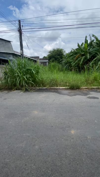 Đất nền mặt tiền xã An Bình Tây 254m² giá 850 triệu - Đầu tư sinh lời ngay!