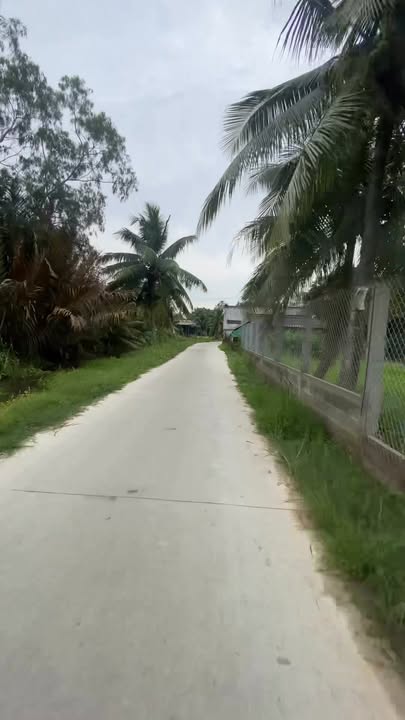 Đất mặt tiền xã An Ngãi Trung 1800m² giá chỉ 1.55 tỷ - Cơ hội đầu tư tuyệt vời!