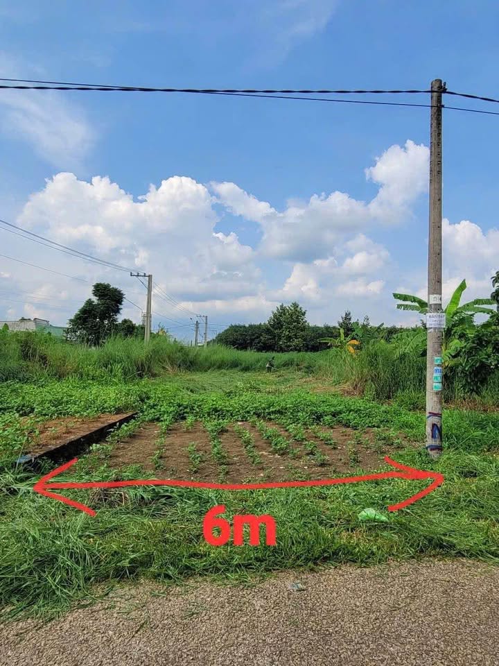 Đất nền chính chủ Tân Phú Đồng Phú 174m² giá 780 triệu - Bán gấp, cơ hội đầu tư!