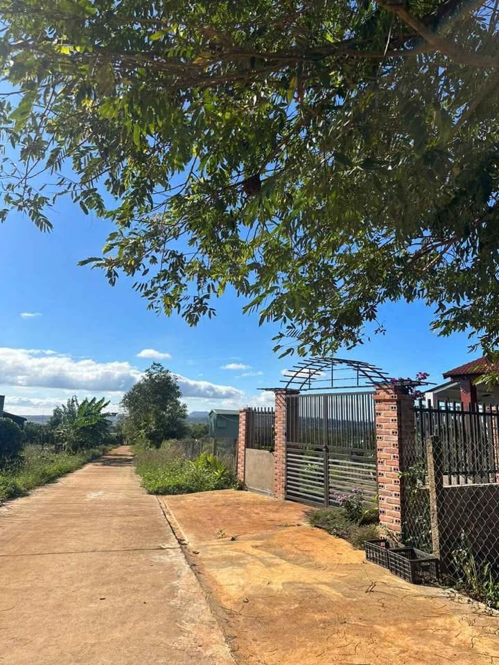 Đất nền Biển Hồ 5000m² giá 2 tỷ - Sổ đỏ chính chủ