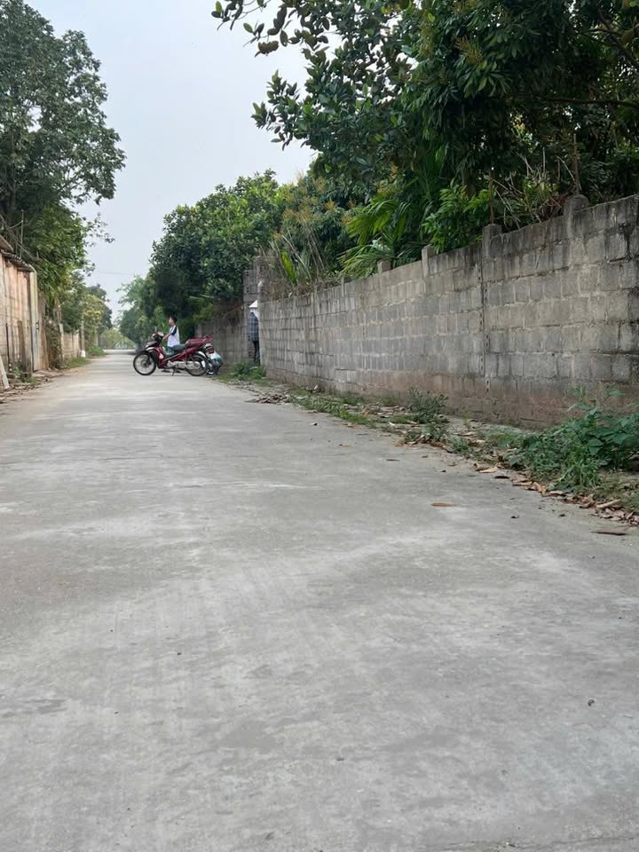 Đất trồng cây lâu năm 1700m² phường Hồng Châu - Giá chỉ 4 tỷ VND