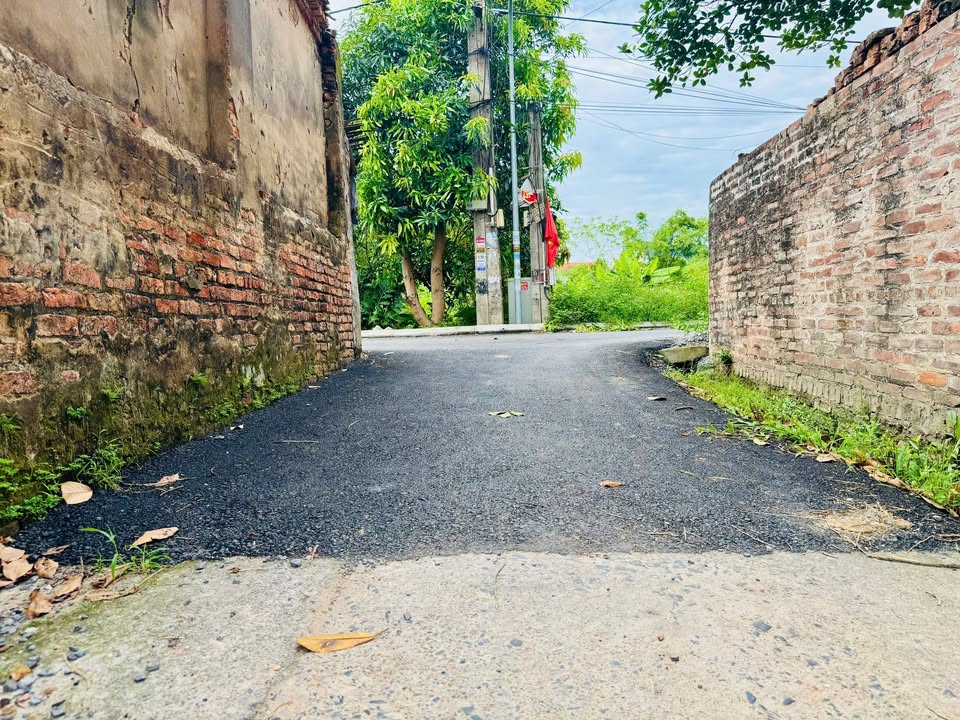 Đất nền Vũ Xá - Dương Quang Mỹ Hào 58m² chỉ 1.1 tỷ - Đầu tư sinh lời tuyệt vời!