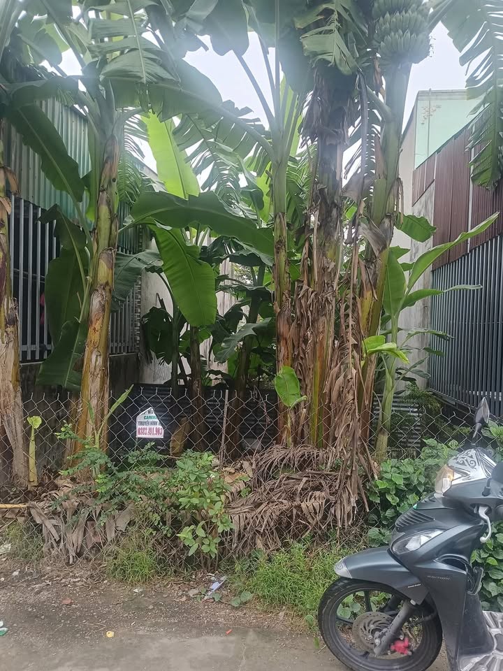 Đất thổ cư Bắc Sơn Trảng Bom 100m² giá 1.38 tỷ - Sổ đỏ chính chủ