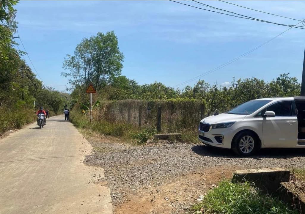 Đất nền Ngọc Định, Trảng Bom 3000m² giá 1.65 tỷ - Lô góc hai mặt tiền đẹp!