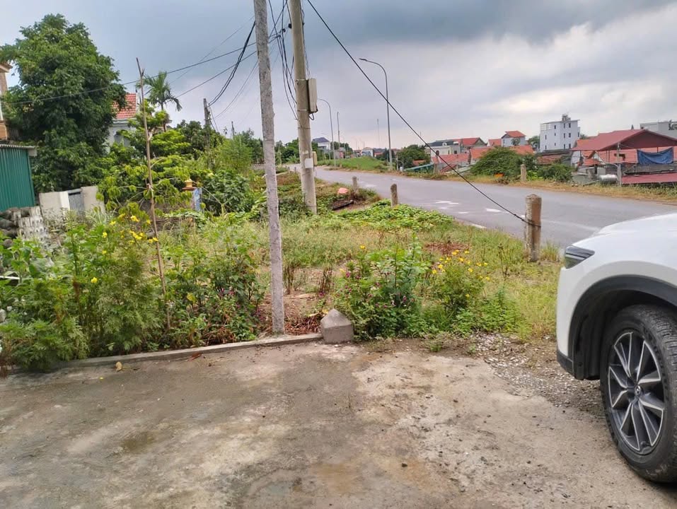 Lô đất 200m² tại thôn Duyên Trang, Hồng Thái - Giá 4,5 tỷ - Cơ hội vàng cho đầu tư!