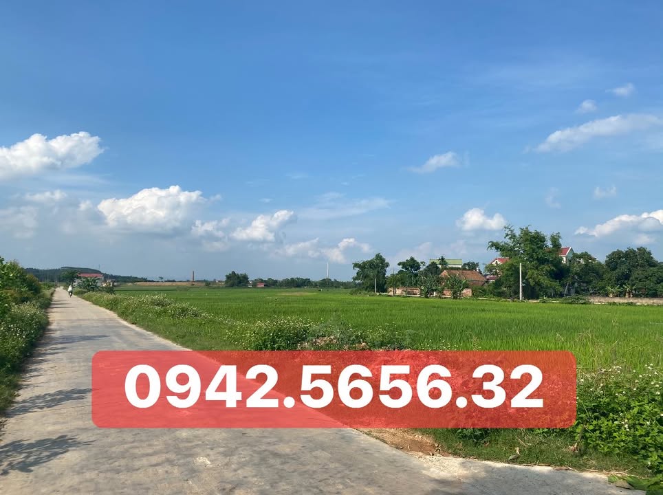 Đất giãn dân Tân An Bắc Giang 100m² - Giá cả thương lượng hấp dẫn!