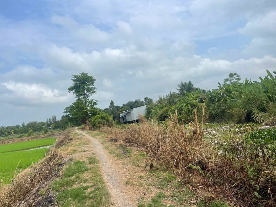 Đất ruộng bán tại Mỹ Hòa, Long Xuyên 6610m² - Vị trí đắc địa gần TL 943!