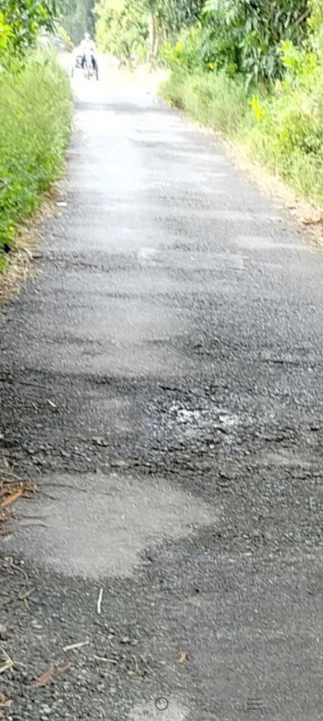 Đất thổ cư Bình Thành, Thanh Bình 725m² giá 720 triệu - Đầu tư sinh lời ngay!