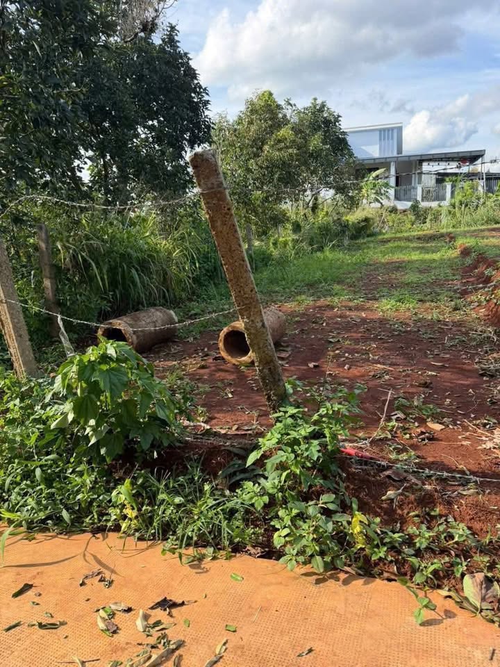 Đất thổ cư 110m² Nguyễn Trãi, Buôn Hồ giá 1.25 tỷ - Cơ hội đầu tư hấp dẫn!