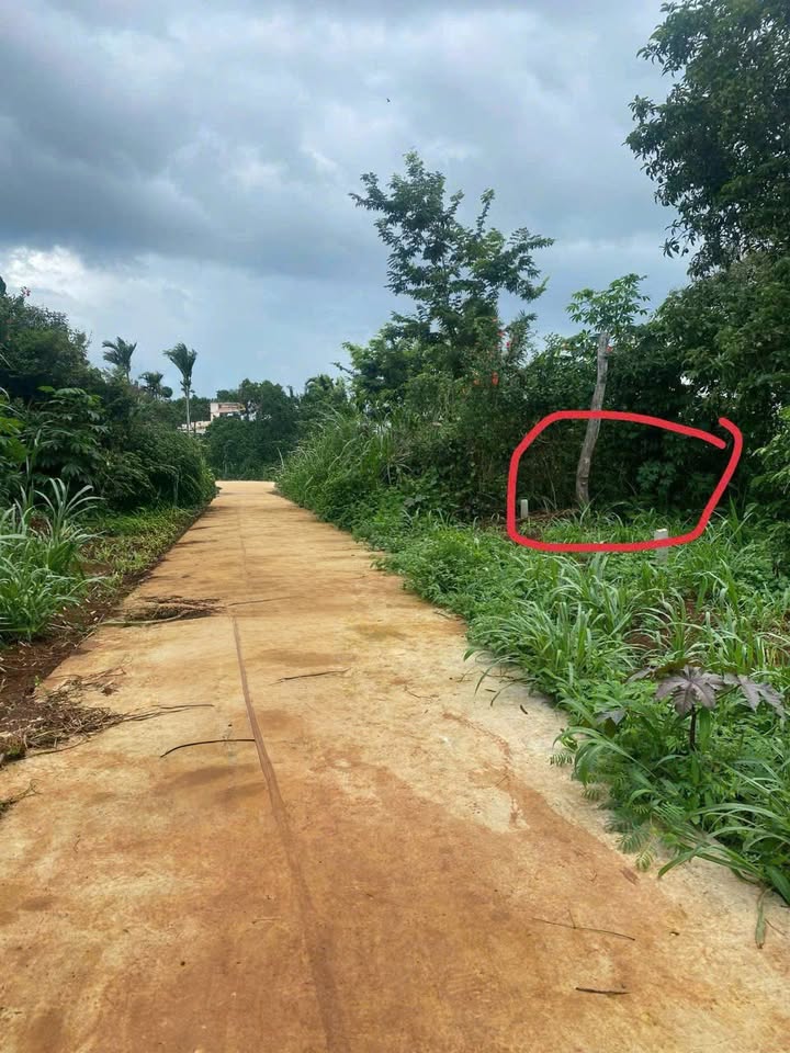 Đất thổ cư 210m² tại Cư Bao, Buôn Hồ - Sổ đỏ chính chủ, giá 210 triệu!