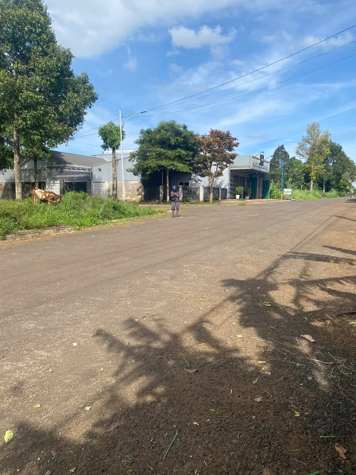 Đất nền 2 mặt tiền đường Đinh Núp, Ea Kar, 1750m² - Cơ hội đầu tư hấp dẫn!