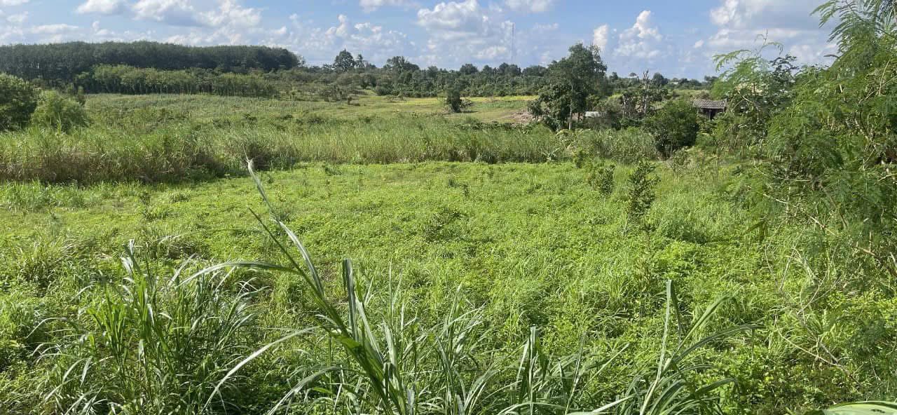 Đất Farm tại xã Cư Ni, huyện Ea Kar 1,2 ha giá 900 triệu - Sổ hồng chính chủ