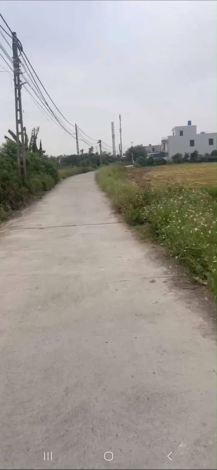 Đất nền Tiền Hải Thái Bình 126m² giá 700 triệu - Đầu tư sinh lời hấp dẫn!