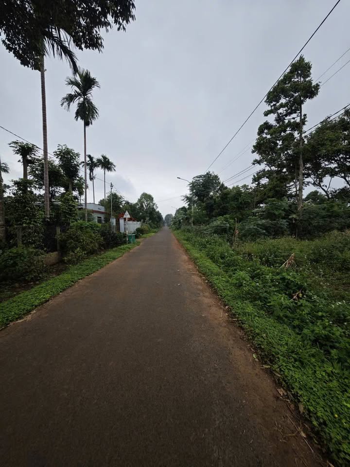 Đất nền Tân An, Buôn Ma Thuột 120m² giá chỉ 1.265 tỷ - Cơ hội đầu tư hấp dẫn!