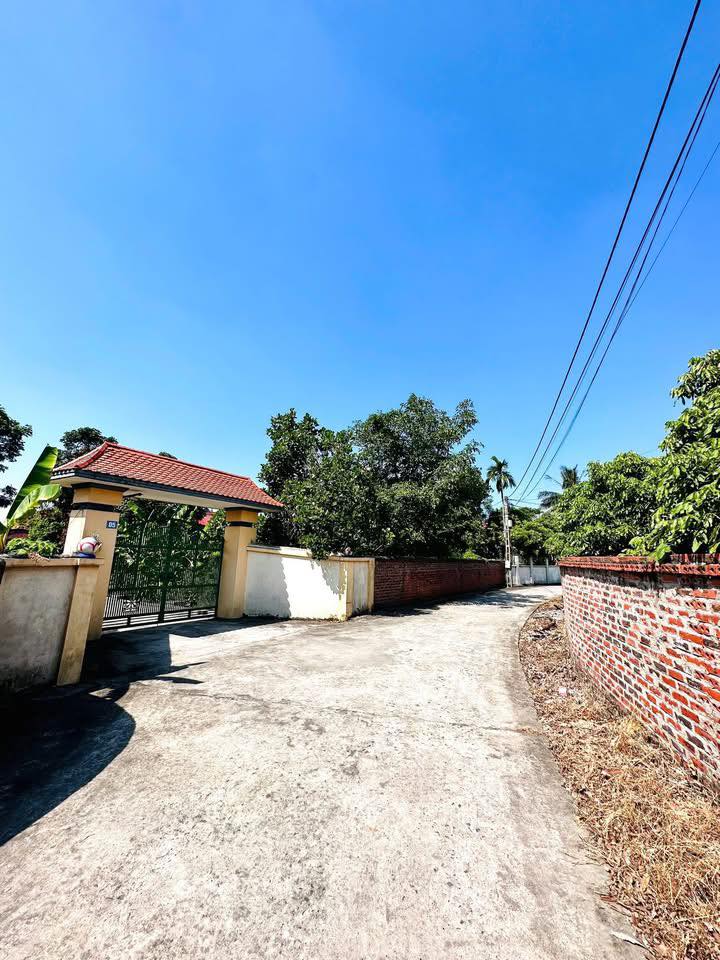 Lô đất Farm 1600m² tại Bình Khê, Đông Triều - Giá tốt, tiềm năng tăng giá cao!