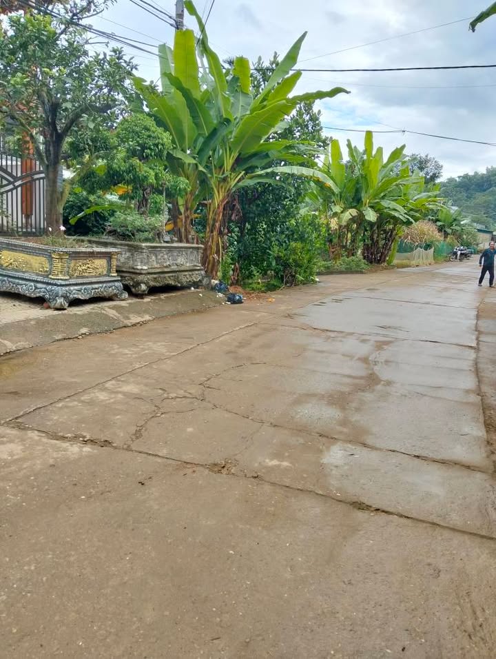 Đất thổ cư 480m² tại Hưng Thành, Tuyên Quang - Đầu tư sinh lời bền vững!