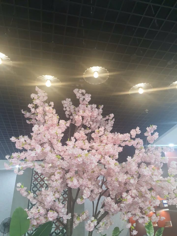 Đất nền Giãn dân Bò Sơn 4, Bắc Ninh 88m² giá 9 tỷ - Vị trí đắc địa chờ đón cơ hội đầu tư!