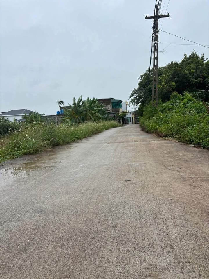 Đất nền xã Vũ Lăng, Tiền Hải 100m² chỉ 600 triệu - Cơ hội đầu tư vàng!