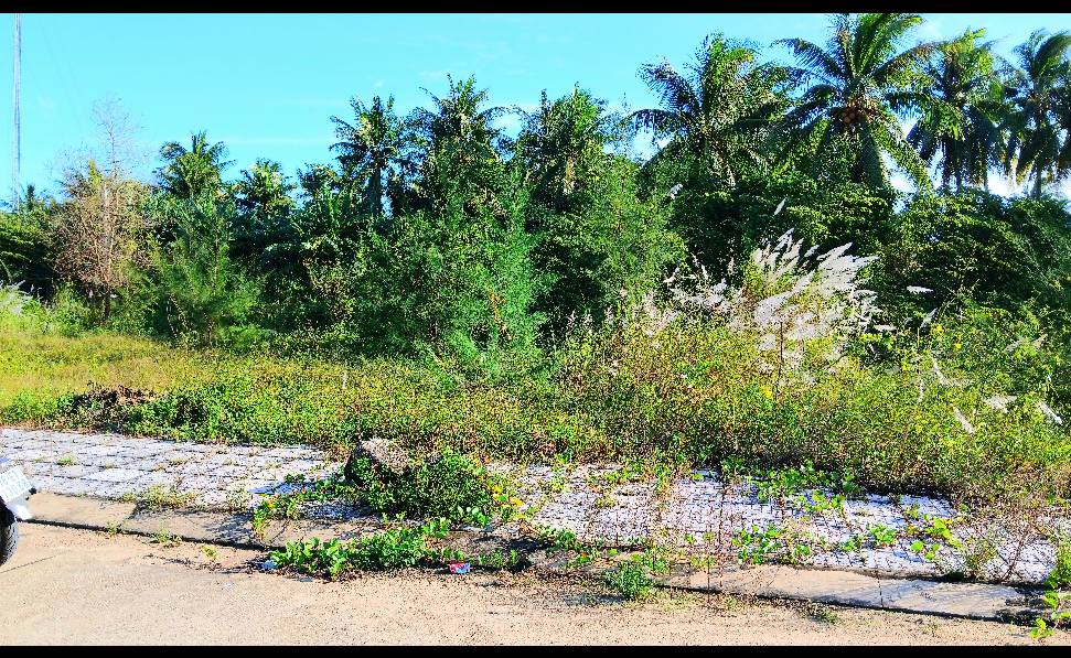 Đất nền An Phú Quảng Ngãi 120m² giá 860 triệu - Đầu tư sinh lời ngay!