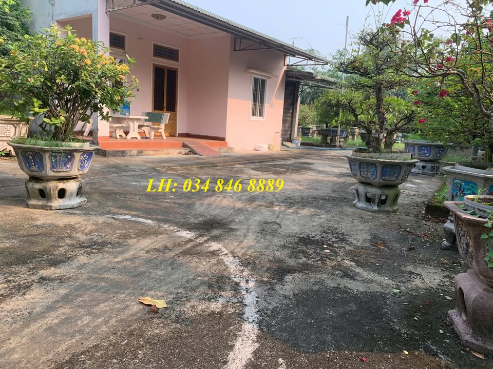 Nhà cấp 4 hẻm Nguyễn Văn Linh, Phường Trương Quang Trọng 352m² giá 1 tỷ - Đầu tư tiềm năng!