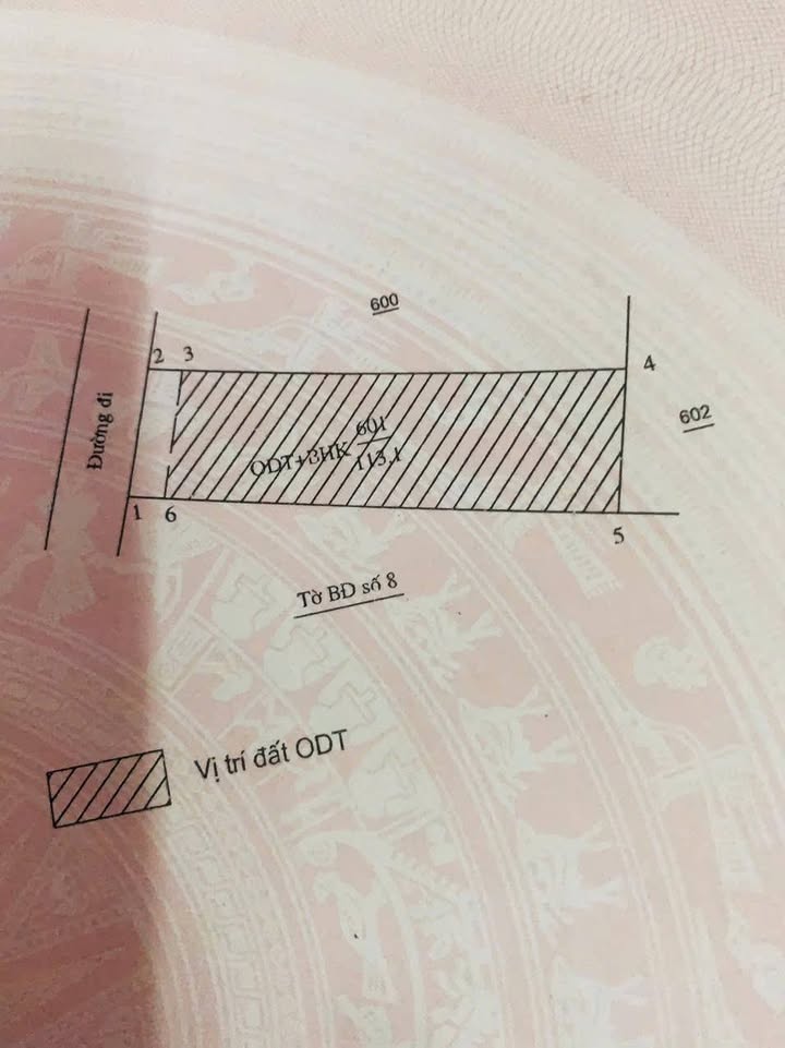 Đất nền Nghĩa Lộ Quảng Ngãi 115m² giá 1.2 tỷ - Nở hậu, ô tô vào tận nhà!