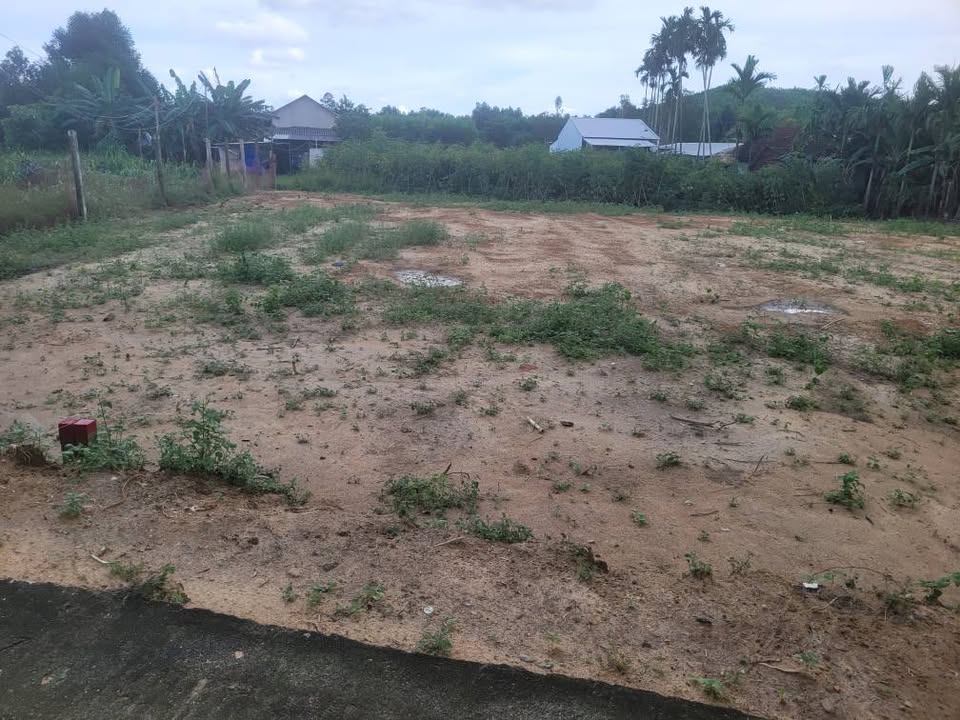 Đất nền Trà Giang, Nghĩa Hành 200m² - Đầu tư sinh lời ngay!