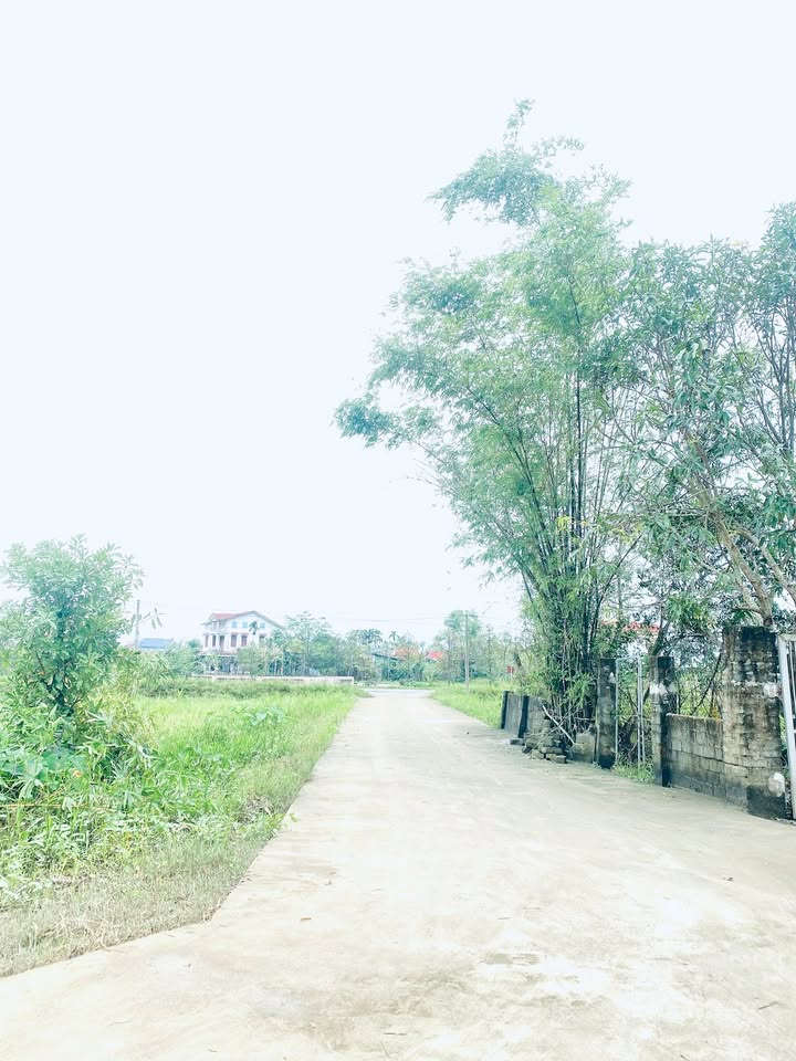 Đất thổ cư Thôn Thống Nhất, Hà Huy Tập 126m² giá 1 tỷ - Đầu tư sinh lời ngay!