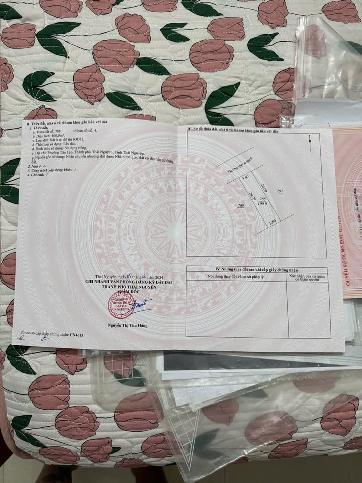 Đất nền Tân Lập Thái Nguyên 100m² giá 3 tỷ - Đầu tư sinh lời tiềm năng!