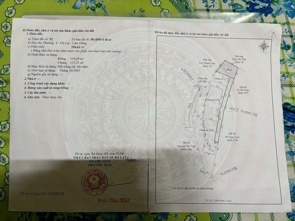 Nhà phố đường Đồng Tâm, Đà Lạt 119m² giá 6.5 tỷ - Sổ đỏ chính chủ