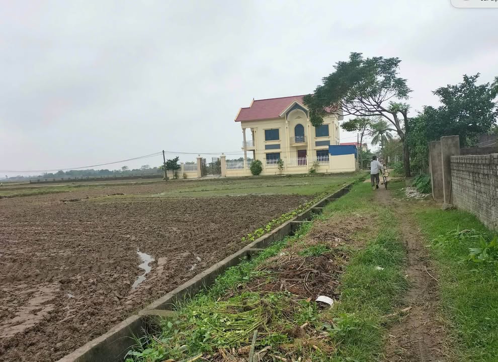 Đất nền chính chủ tại Nga Thiện, 130m² giá thấp - Cơ hội đầu tư tuyệt vời!