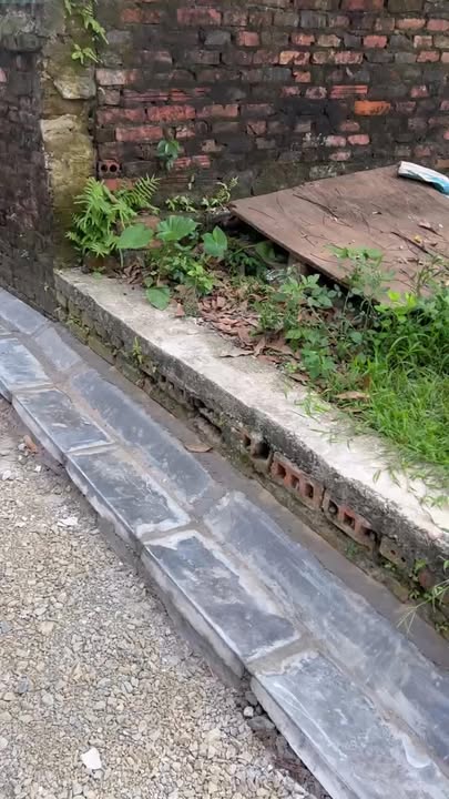 Đất thổ cư Thái Bình, Mai Lâm 40.5m² giá 4 tỷ - Đầu tư sinh lời ngay!