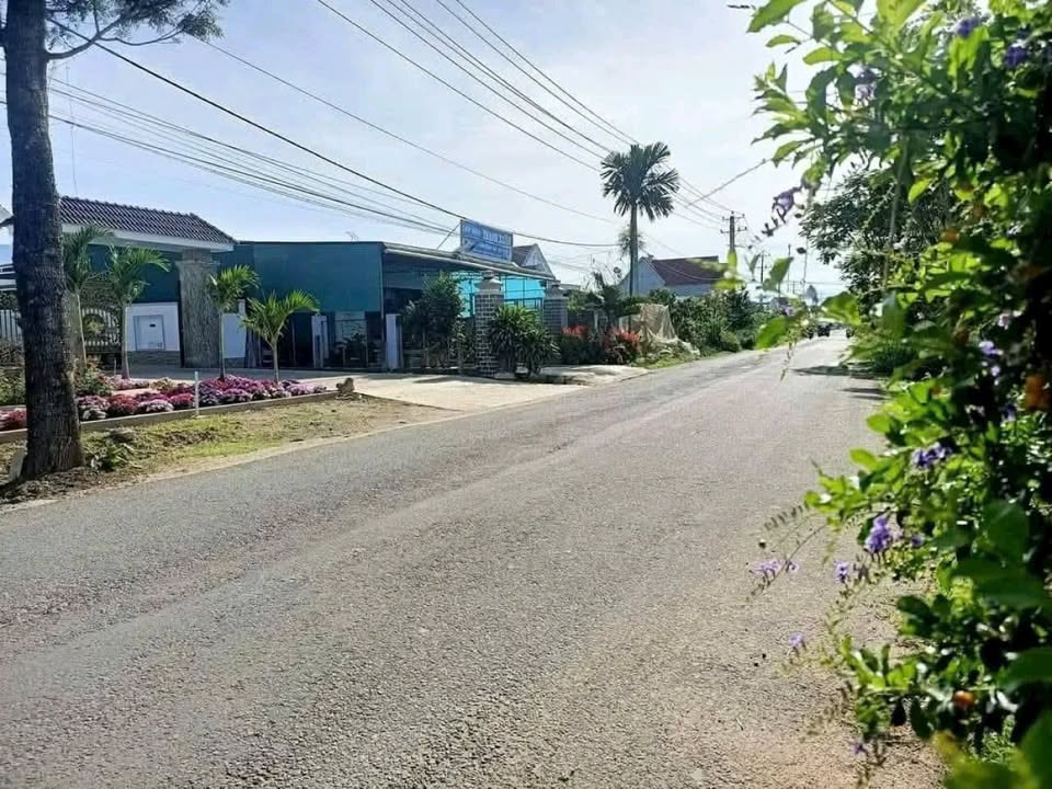 Đất 2 mặt tiền Phạm Ngọc Thạch, Thạnh Mỹ, Đơn Dương 140m² giá 1.34 tỷ - Đầu tư sinh lời!