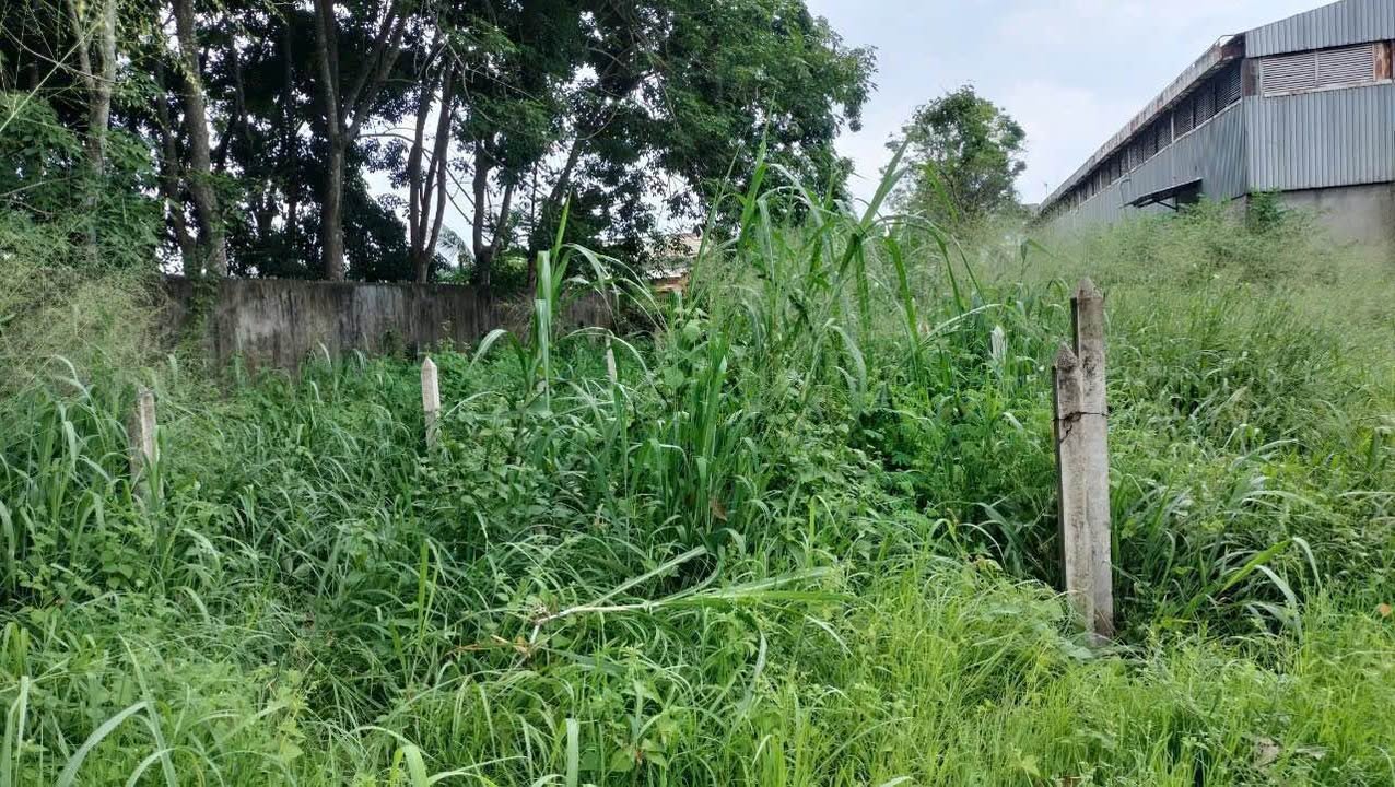 Đất vườn Hòa Phú Củ Chi 100m² giá chỉ 580 triệu - Cơ hội đầu tư tuyệt vời!