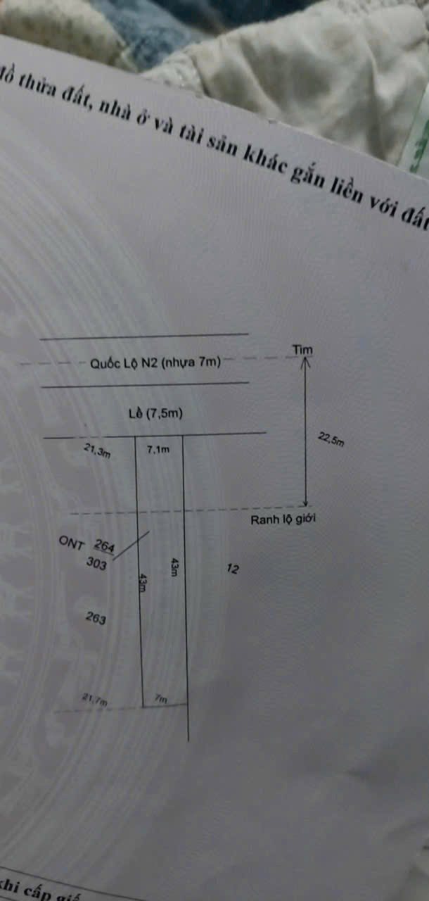Đất mặt tiền Quốc Lộ 62 Đức Hòa 305m² - Chính chủ bán gấp!