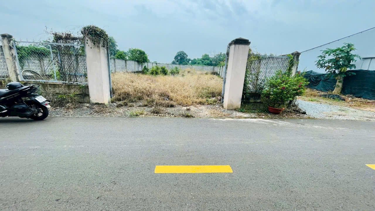 FrontHouse mặt tiền đường Trần Quang Diệu, Đất Đỏ 344m² giá 2,4 tỷ - Cơ hội đầu tư tuyệt vời!