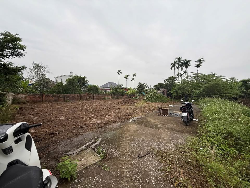 Đất nền Quang Hưng An Lão 60m² giá 435 triệu - Vị trí trung tâm KCN Tràng Duệ!