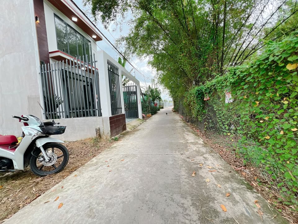 Nhà mặt tiền Giao Thông Nông Thôn Cần Giuộc 75m² giá 1.95 tỷ - Sổ hồng công chứng liền tay!