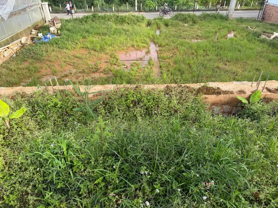 Đất nền xây dựng phường Lang Biang Lạc Dương 190m² giá 3.3 tỷ - Cơ hội đầu tư hấp dẫn!