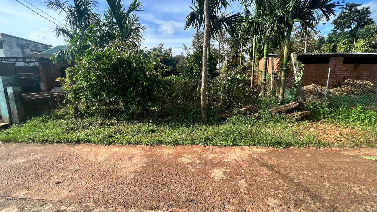 Đất nền xã Phú Xuân, Krông Năng 240m² - Gần chợ và trường học