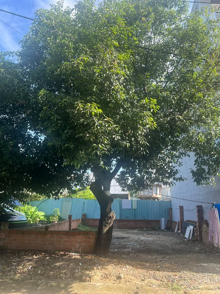 Đất nền Khu dân cư Tân Tiến, Quận 12, 75m² giá 4.9 tỷ - Sổ đỏ chính chủ!