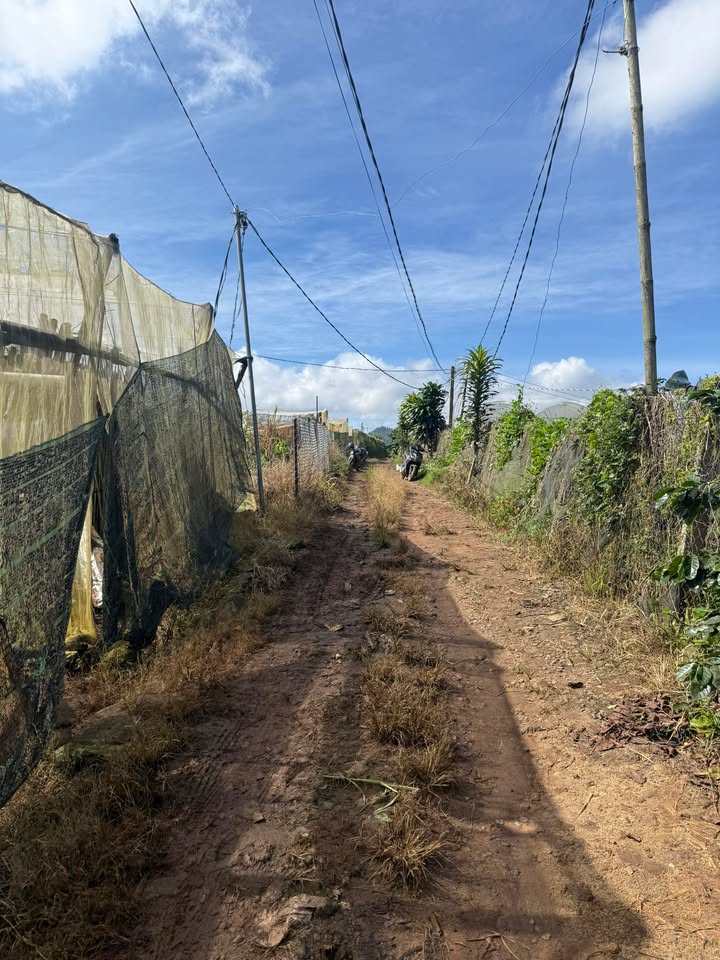 Đất nền 7200m² xã Quảng Lập, Đơn Dương - Giá chỉ 5.2 tỷ!