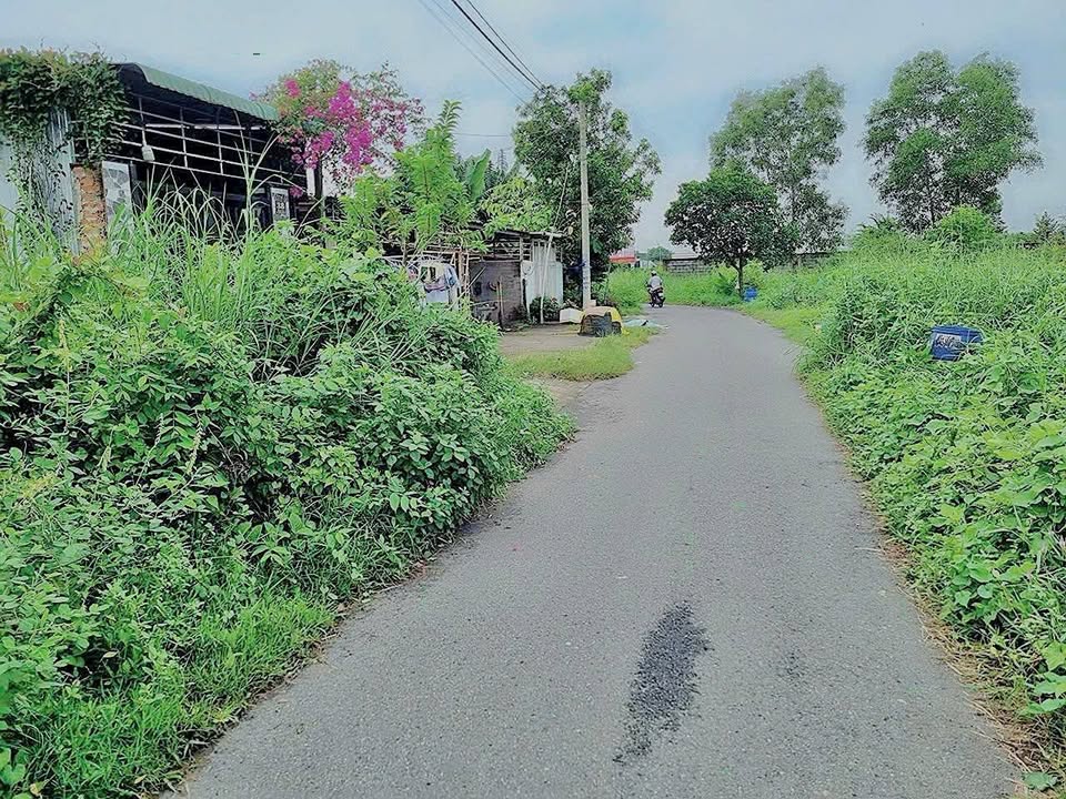 Đất nền Tân Thông Hội Củ Chi 125m² giá 2.28 tỷ - Đầu tư sinh lời tiềm năng!