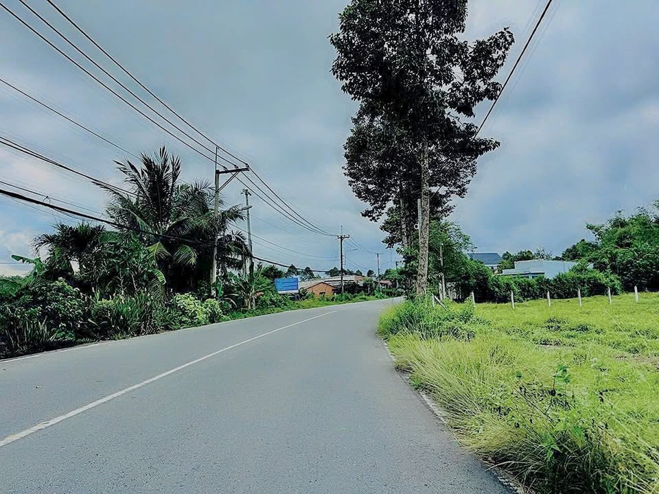 Đất thổ cư Củ Chi 278m² giá 2.45 tỷ - Đầu tư sinh lời ngay!