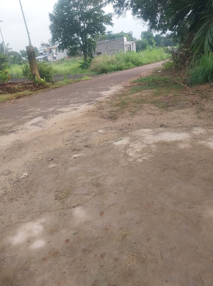 Đất mặt tiền đường số 2, Buôn Ma Thuột - 120m² giá 795 triệu - Cơ hội đầu tư hấp dẫn!