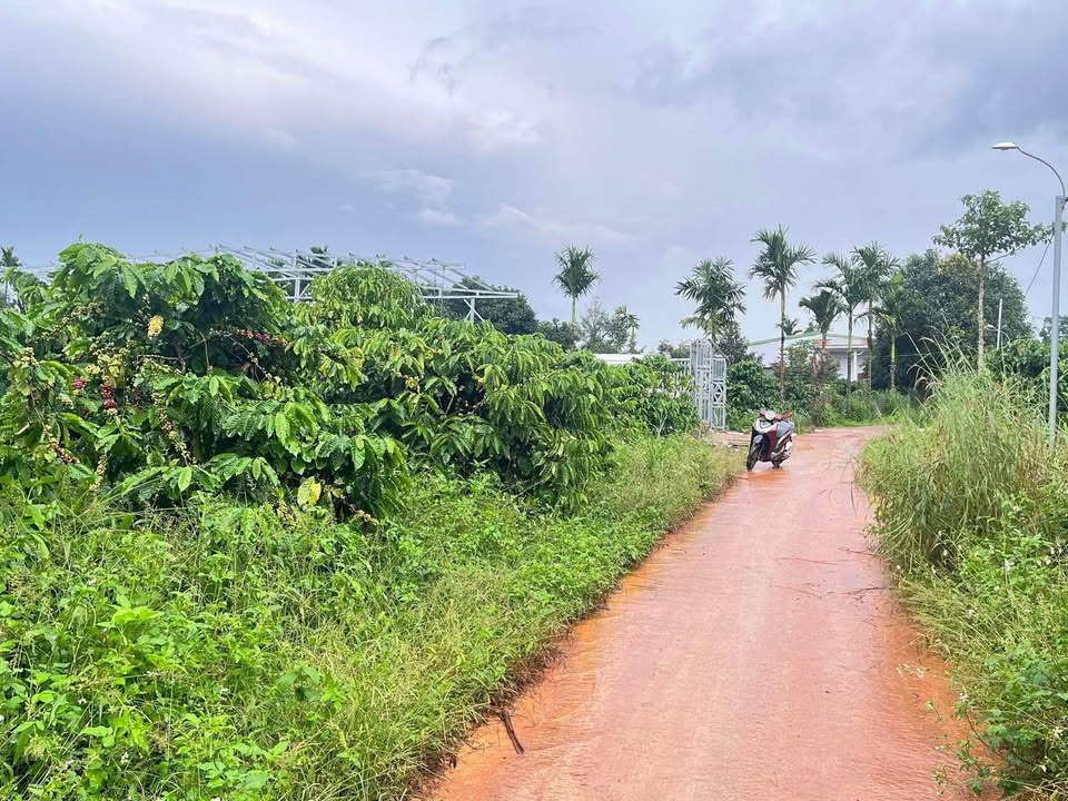 Đất nền khu phố Đồng Tâm, xã Ea Khanh, giá 255 triệu - Sổ đỏ chính chủ!