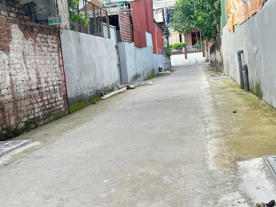 Đất nền Hát Môn Phúc Thọ 100m² giá 3 tỷ - Cơ hội đầu tư hấp dẫn!