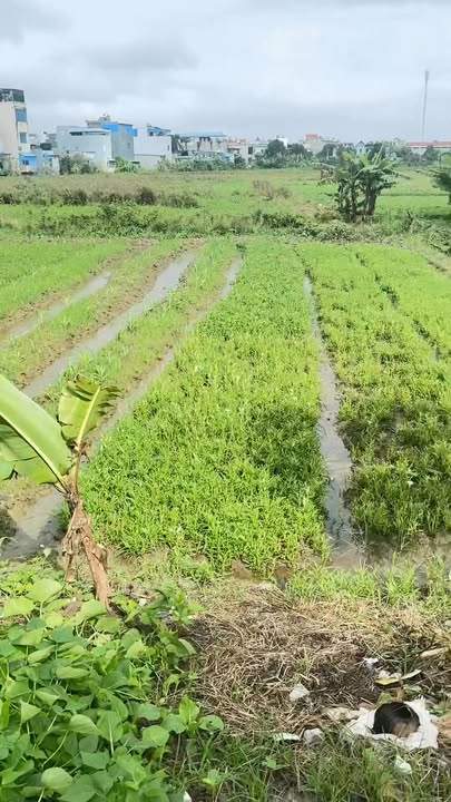 Đất nền Nam Vân, Nam Định 88m² - Đầu tư sinh lời ngay!